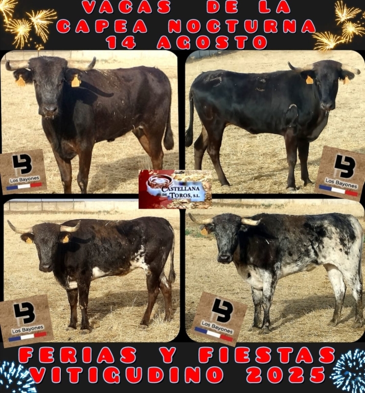 Andrés Romero, Juan del Álamo y Manuel 'Diosleguarde' tratarán de confirmar su buen momento en Vitigudino | Imagen 3