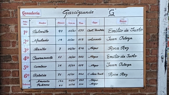 FOTOS | Un 'Afrutado' para el debut de Juan Ortega en La Glorieta  | Imagen 1