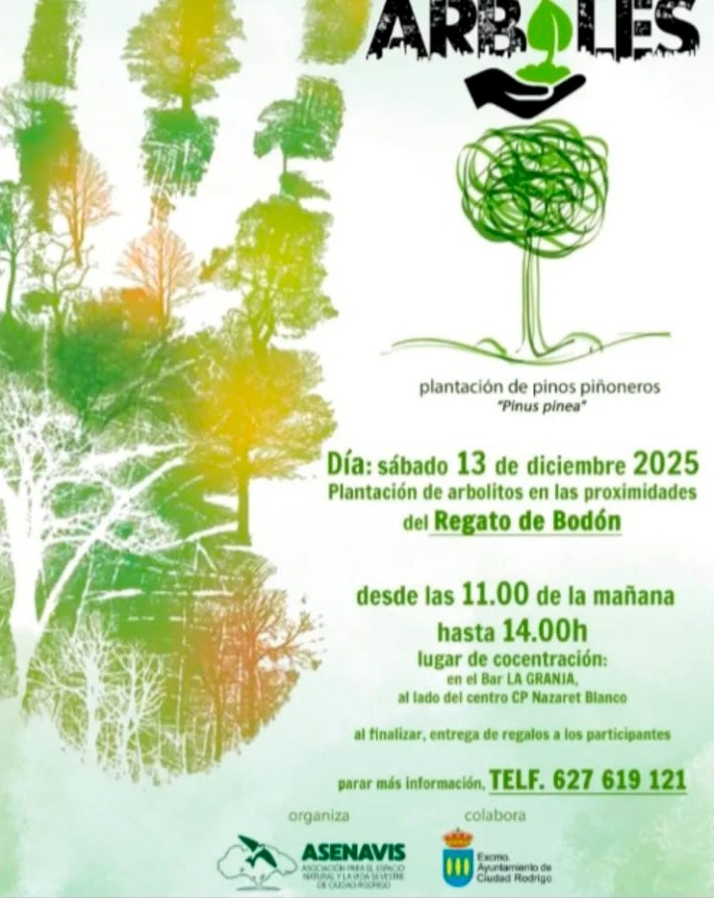 ASENAVIS impulsa una plantación comunitaria de pinos piñoneros para reforzar la reforestación de Ciudad Rodrigo | Imagen 1