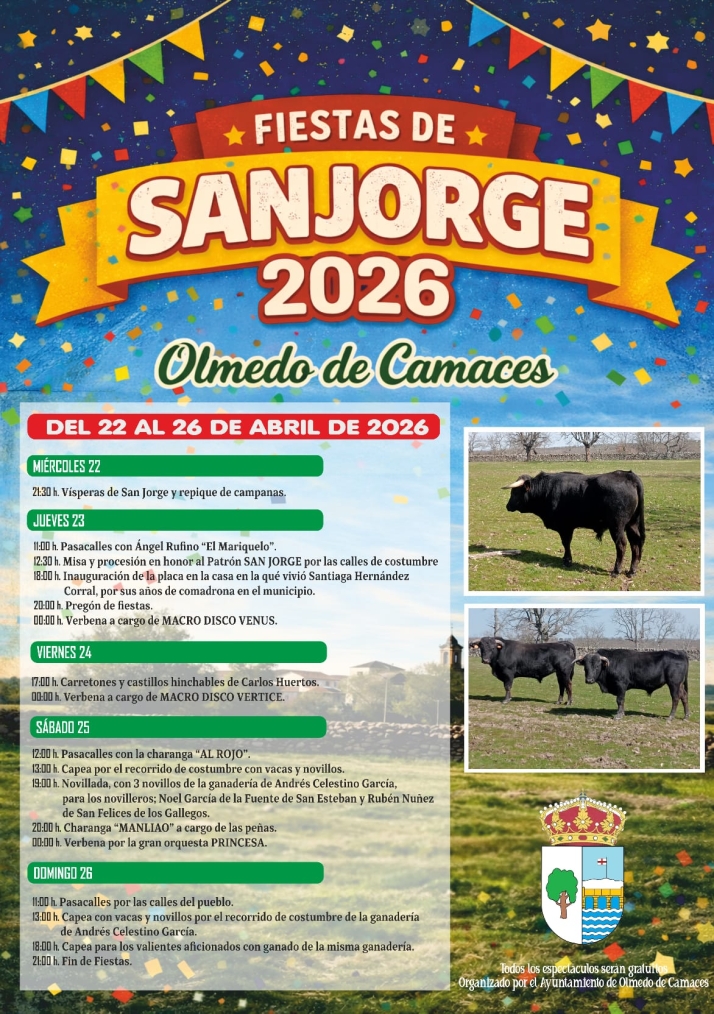 Toros, m&uacute;sica y un emotivo reconocimiento vecinal marcan las fiestas de San Jorge en Olmedo de Camaces | Imagen 1