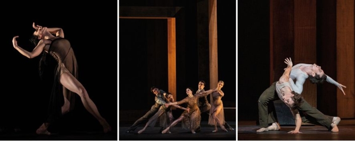 El aclamado ballet inspirado en Virginia Woolf llega a los Cines Van Dyck  | Imagen 1