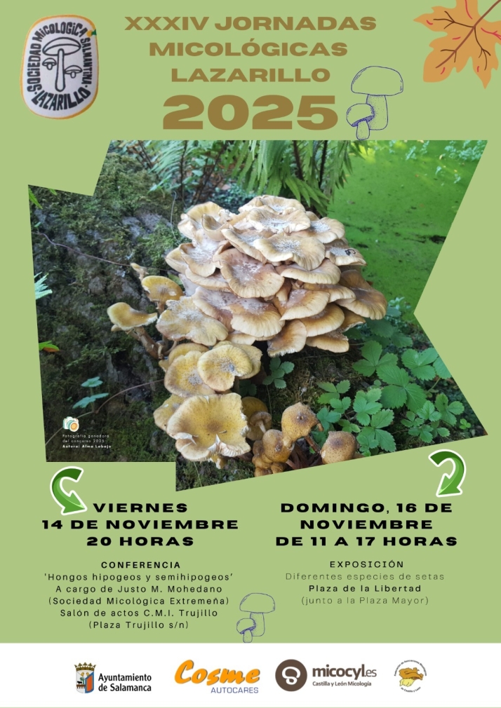 Salamanca acoge las Jornadas Micol&oacute;gicas 'Lazarillo' con una exposici&oacute;n y una conferencia | Imagen 1