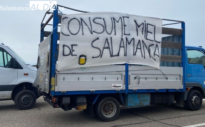 EN IM&Aacute;GENES:  Agricultores y ganaderos dicen 'basta' y la tractorada recorre Salamanca  | Imagen 4