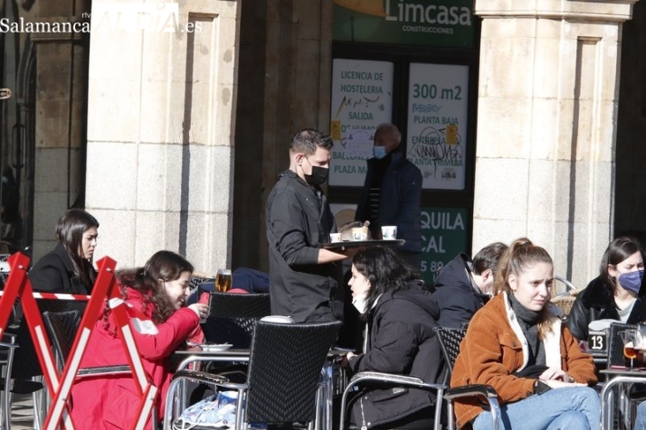 El sector servicios continúa siendo el más importante por el volumen de empresas en Salamanca