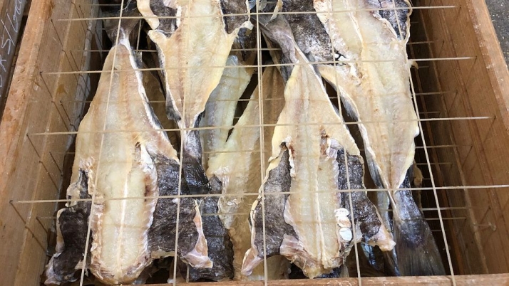 Ílhavo celebra su identidad marinera con el Festival del Bacalao: cinco días de gastronomía, música y experiencias | Imagen 1