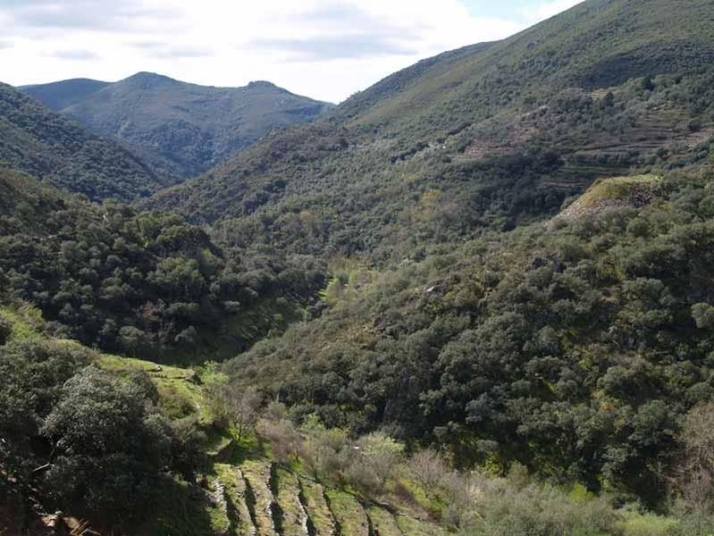 Tres rutas para disfrutar la hermosura de la naturaleza en plena Sierra  | Imagen 3
