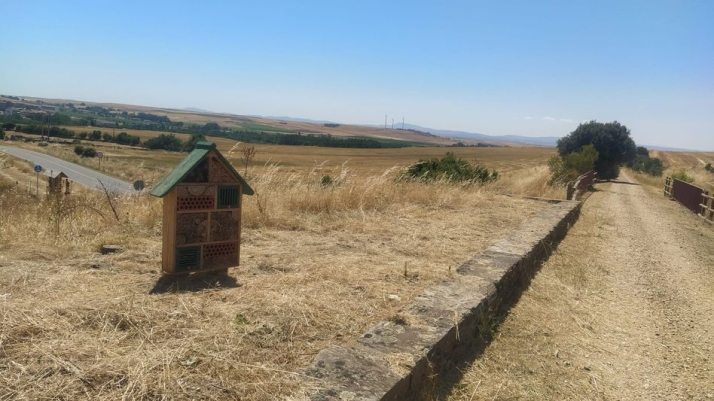 Alba de Tormes realiza desbroces selectivos en el 'Camino de las Mariposas' para proteger su fauna | Imagen 1
