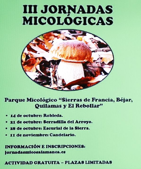 Seis excursiones micol&oacute;gicas con gu&iacute;a y gratuitas en la provincia de Salamanca | Imagen 1
