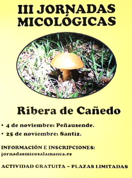 Seis excursiones micol&oacute;gicas con gu&iacute;a y gratuitas en la provincia de Salamanca | Imagen 2