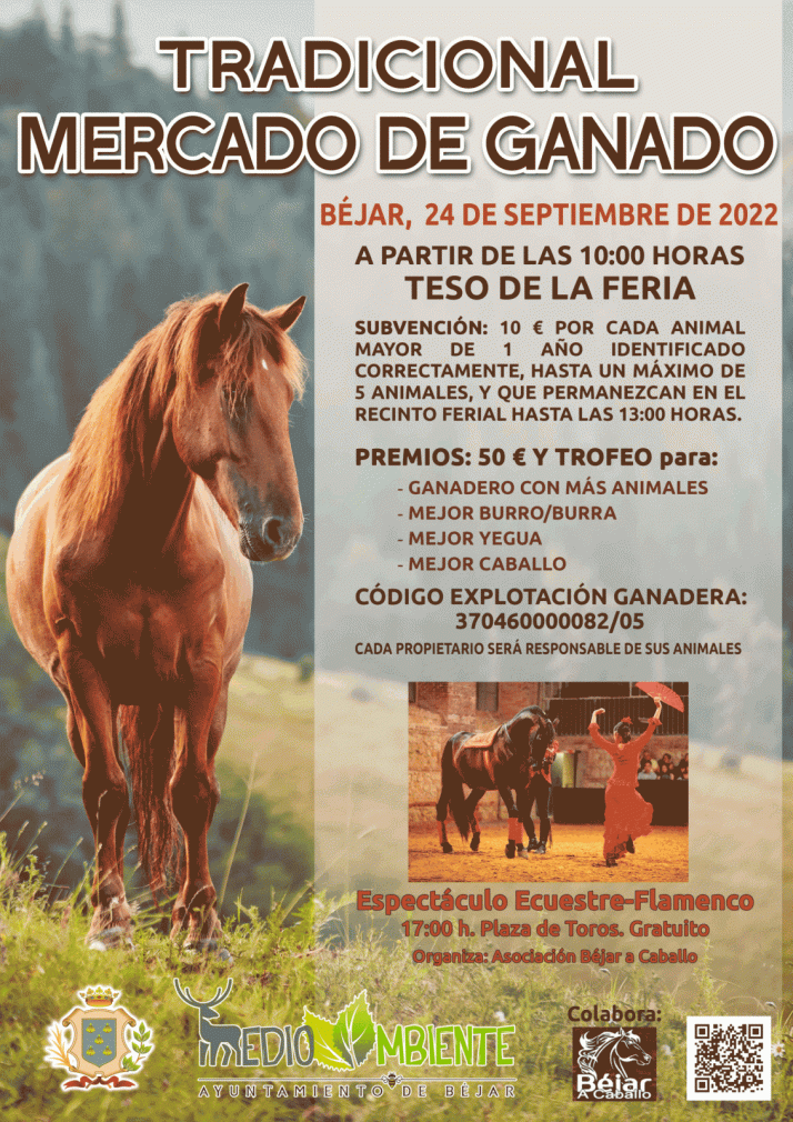 El Mercado de Ganado, pistoletazo de salida a las Ferias de Béjar | Imagen 1