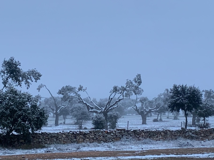 La nieve, protagonista en varias zonas de la provincia de Salamanca | Imagen 1