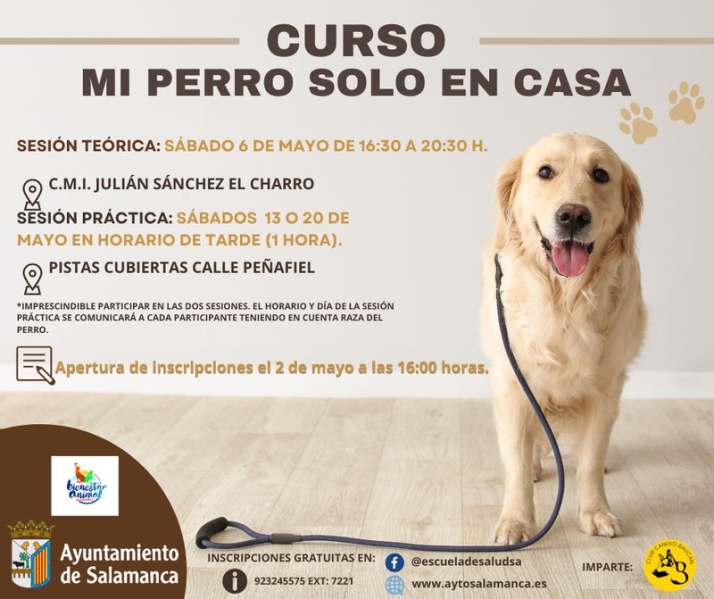 &lsquo;Mi perro solo en casa&rsquo;, un curso para evitar la ansiedad de las mascotas durante la ausencia de sus due&ntilde;os | Imagen 1
