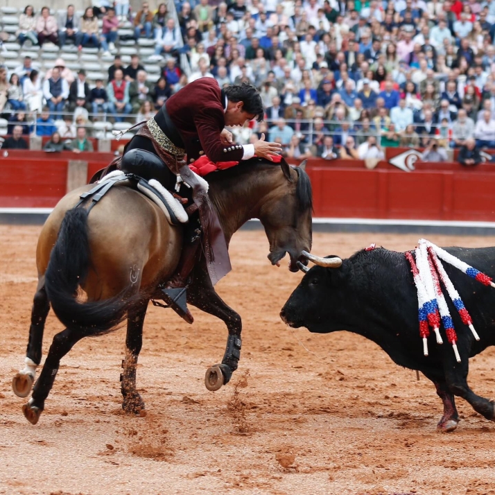 Diego Ventura: &ldquo;Salamanca ha criado los toros de mis mayores triunfos y soy admirador de grandiosos toreros charros&rdquo; | Imagen 1