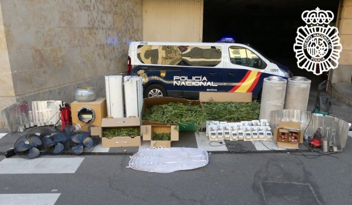 Halladas 400 plantas de marihuana en dos viviendas contiguas de Ciudad Rodrigo | Imagen 1