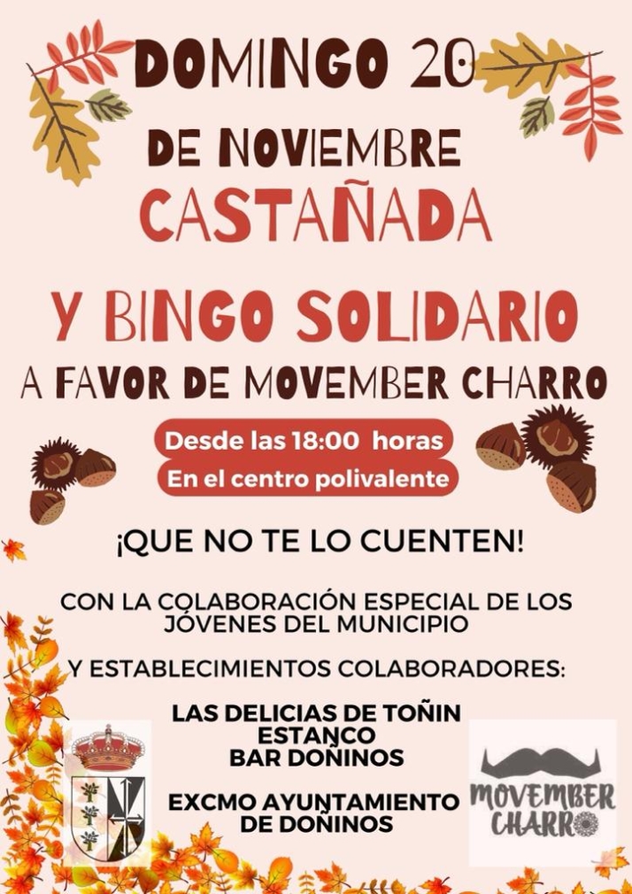 Casta&ntilde;ada y bingo solidario en Do&ntilde;inos de Salamanca | Imagen 1