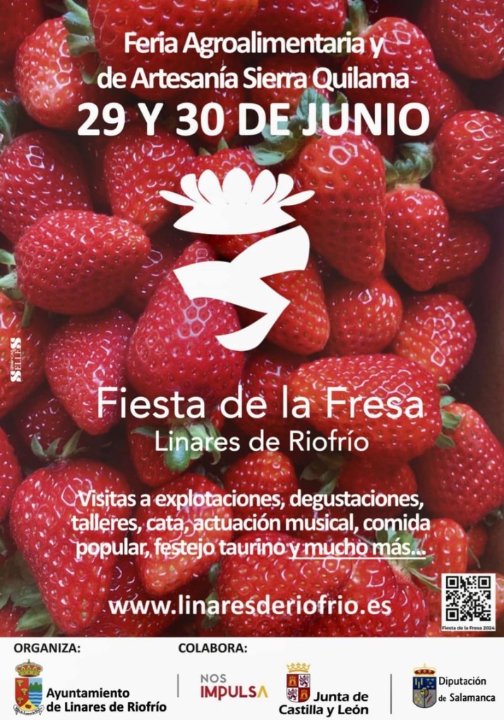 Un buen n&uacute;mero de motivos para visitar Linares de Riofr&iacute;o | Imagen 1