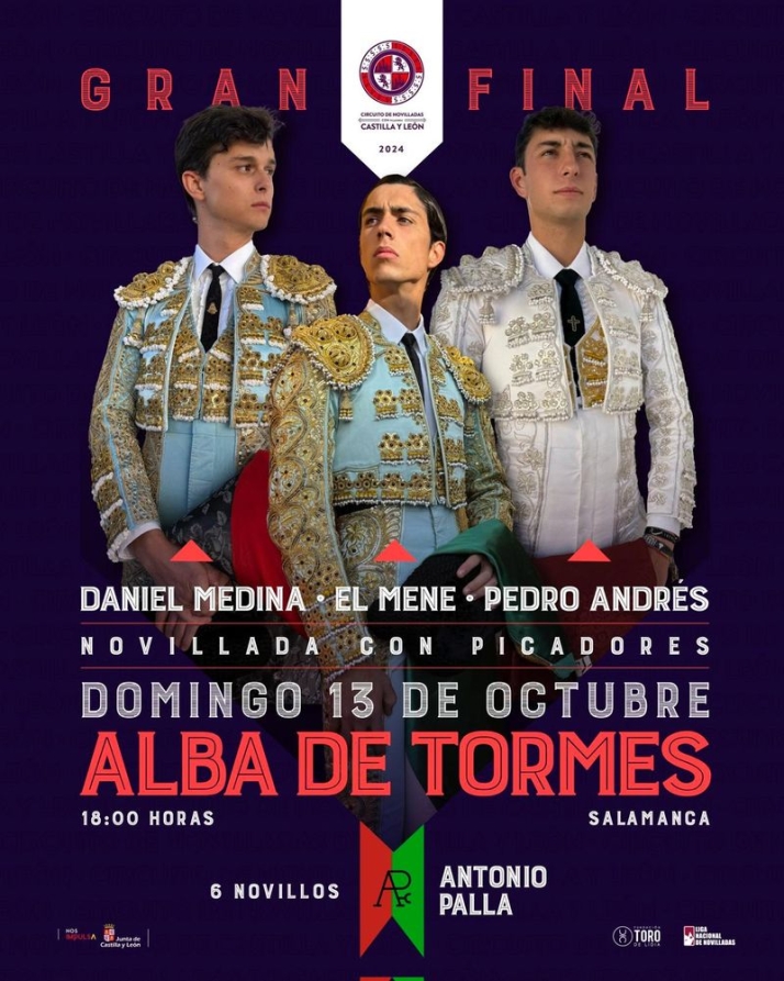 Alba de Tormes, toros por doquier en octubre | Imagen 2