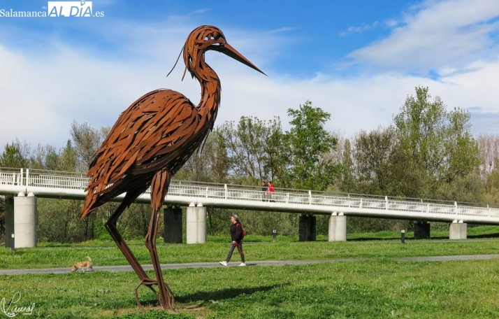 Nueve rutas de senderismo alternativas en Salamanca para huir de las aglomeraciones y disfrutar en familia | Imagen 1