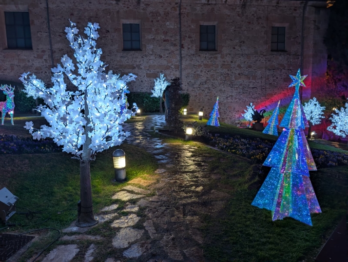 10 escenarios imprescindibles para conseguir el 'selfie' navideño perfecto en Salamanca | Imagen 7