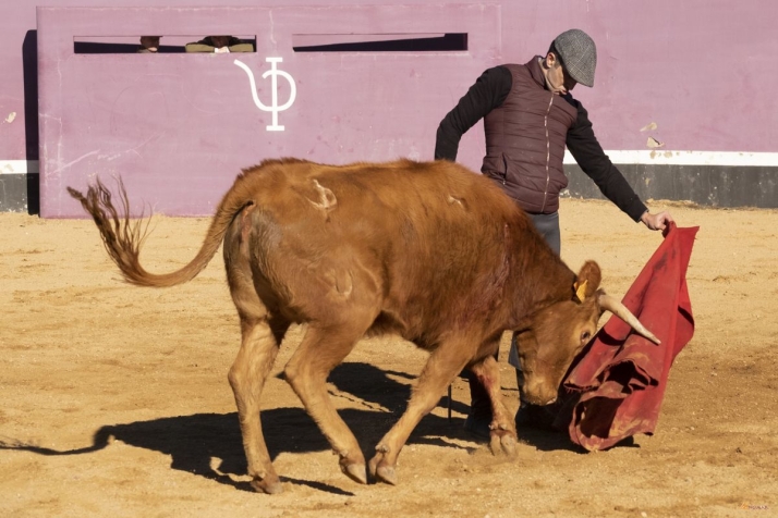 Javier Casta&ntilde;o, ante su adi&oacute;s: &quot;Jam&aacute;s imagin&eacute; conseguir tantas cosas en mi carrera&quot; | Imagen 2