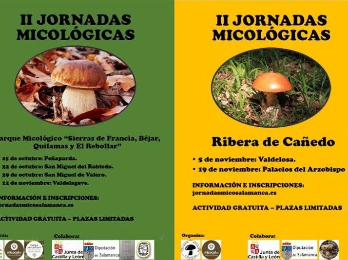 Disfrutar la micolog&iacute;a con gu&iacute;a es gratis en Salamanca | Imagen 1