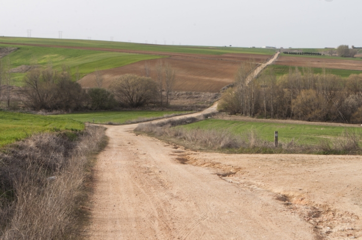 Villamayor: 60 kilómetros de senderos por descubrir en el corazón de La Armuña a minutos de Salamanca | Imagen 5
