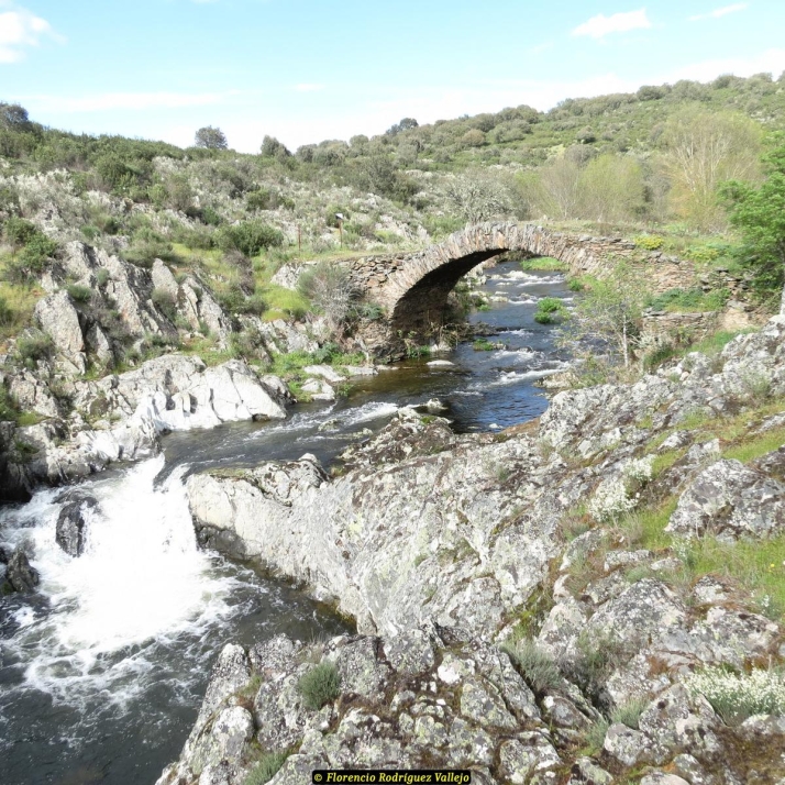 El puente de la Edad Media que se encuentra en la provincia de Salamanca y acaba de entrar en la Lista Roja del Patrimonio