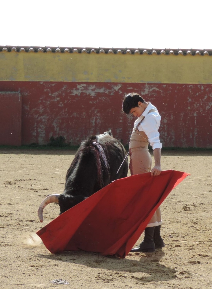 Diosleguarde, a punto para 2025: &quot;Quiero que se vea un torero nuevo y que ha evolucionado&quot; | Imagen 2