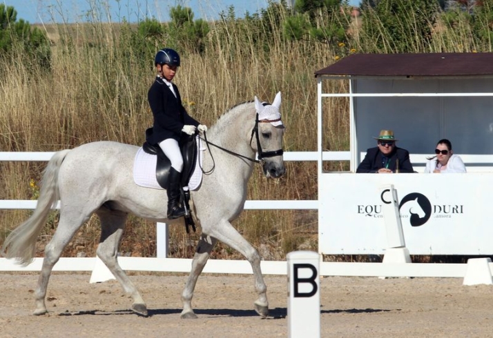 Manuel Crespo de Arriba, campe&oacute;n de Castilla y Le&oacute;n en Doma Cl&aacute;sica | Imagen 1