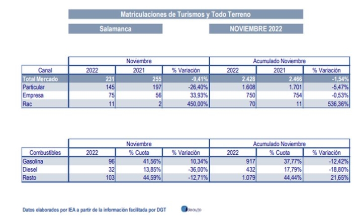 Salamanca, lejos de la tendencia nacional: caen las ventas de autom&oacute;viles | Imagen 1