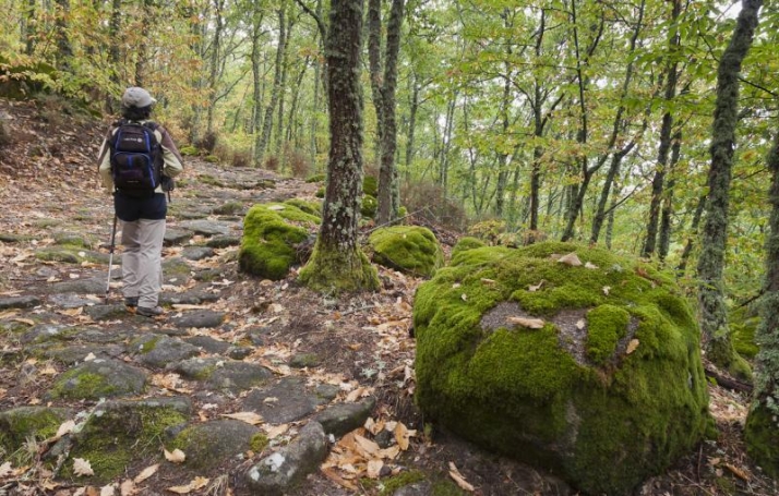 El valor de sus Centros de Interpretación y la riqueza natural de sus rutas hacen de la Sierra de Francia un lugar único | Imagen 3