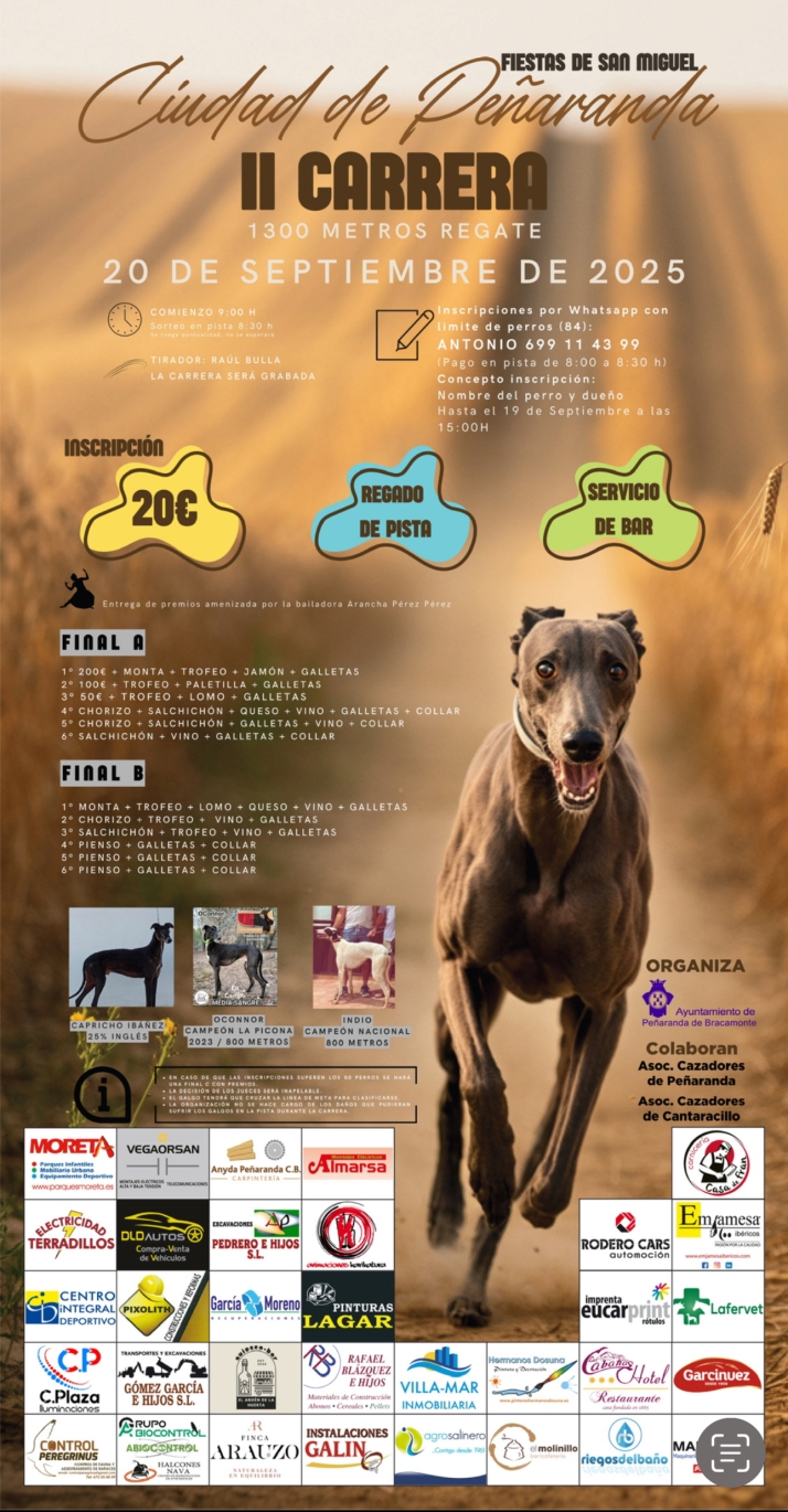 Todo preparado para disputar la II Carrera de Galgos de Pe&ntilde;aranda | Imagen 1