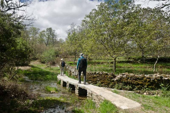 El valor de sus Centros de Interpretación y la riqueza natural de sus rutas hacen de la Sierra de Francia un lugar único | Imagen 4