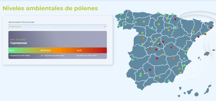 La alergia ya ha llegado: consulta los lugares de Salamanca donde predomina un tipo u otro | Imagen 1