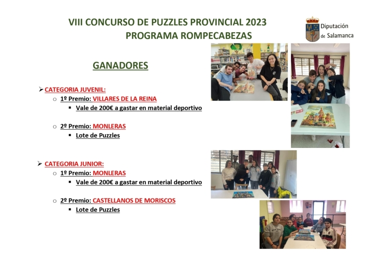 Estos son los ganadores del VIII Concurso Provincial de Puzzles de Diputaci&oacute;n de Salamanca | Imagen 1