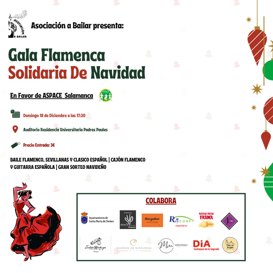 La Asociaci&oacute;n A Bailar organiza una gana flamenca navide&ntilde;a en favor de ASPACE | Imagen 1