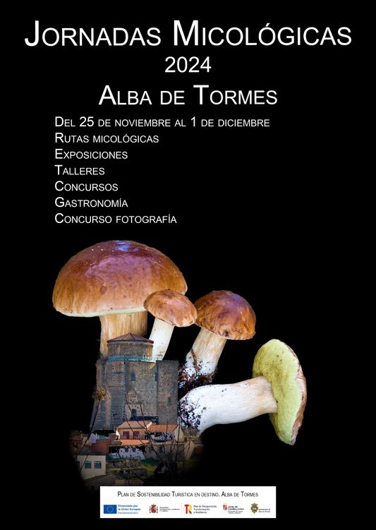 Alba de Tormes acoge sus II Jornadas Micol&oacute;gicas con una amplia oferta de actividades | Imagen 1