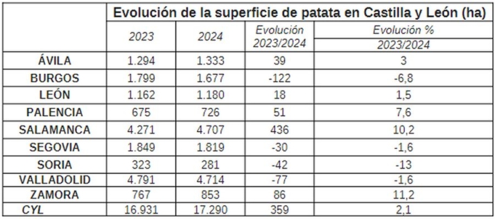 600 raciones de patatas asadas, gratis en Salamaq | Imagen 1