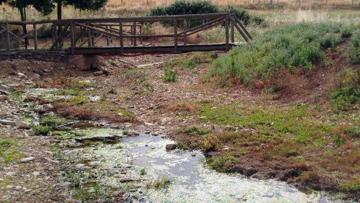 Vecinos de Terradillos denuncian cortes y escasez de agua recurrentes | Imagen 1