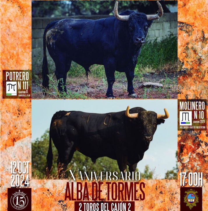 Alba de Tormes, toros por doquier en octubre | Imagen 1