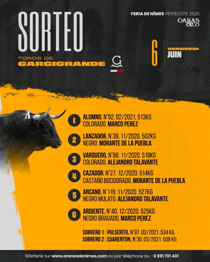 Marco P&eacute;rez tomar&aacute; la alternativa en Nimes con 'Alumno' | Imagen 1