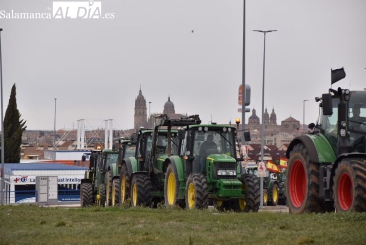 EN IM&Aacute;GENES:  Agricultores y ganaderos dicen 'basta' y la tractorada recorre Salamanca  | Imagen 1