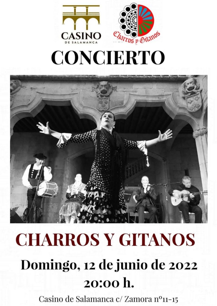Conciertos gratuitos y actos literarios para este mes en el Casino de Salamanca | Imagen 5