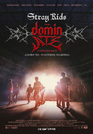 Cartel de Stray kids: the dominate experience