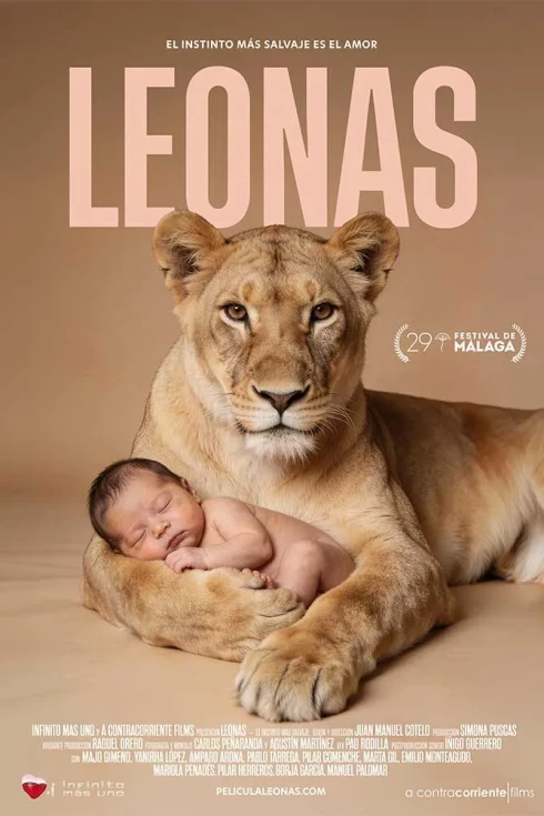 Cartel de Leonas